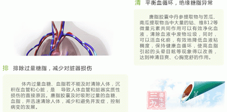 平衡血循环，绝缘糖脂异常