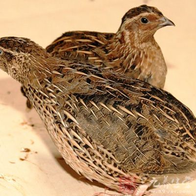 男人吃什么比较补 这样吃让男人重振雄风(3)