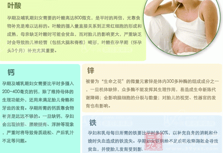 葆婴牌海藻油胶囊产品所含营养