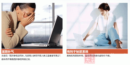 金日牌美国洋参冲剂滋阴补气 金日牌美国洋参冲剂滋阴补气