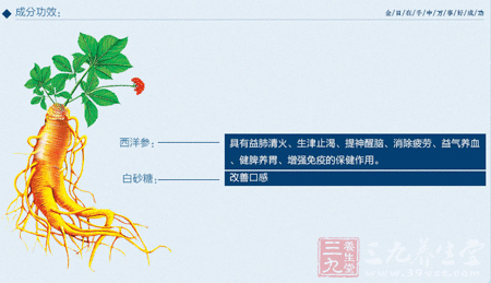 金日牌美国洋参冲剂成分功效 金日牌美国洋参冲剂成分功效