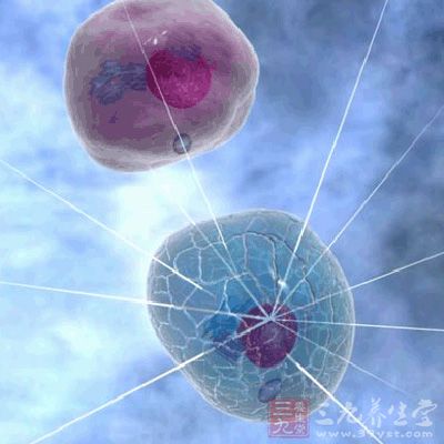 这些细胞内自由基能使细胞死亡或变异成为异常细胞 这些细胞内自由基能使细胞死亡或变异成为异常细胞