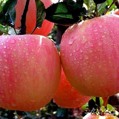 1个苹果中含有类黄酮约30毫克以上，含有15%的碳水化合物及果胶