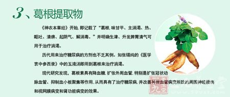 葛根素具有降血糖、抑制血小板聚集等作用