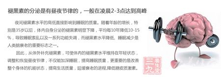 褪黑素的分泌是有昼夜节律的 褪黑素的分泌是有昼夜节律的