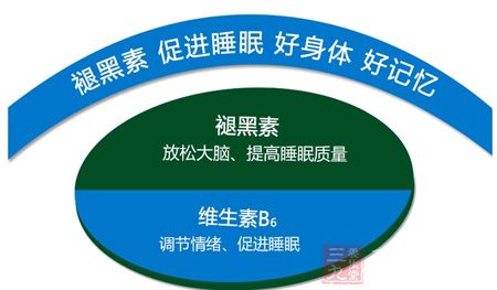褪黑素 促进睡眠 好身体 好记忆 褪黑素 促进睡眠 好身体 好记忆