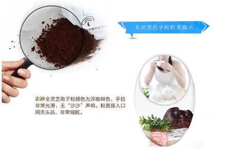 全灵芝孢子粉粉末展示 全灵芝孢子粉粉末展示