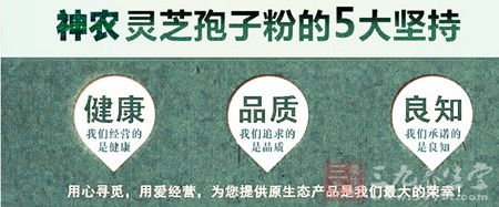 神农灵芝孢子粉的5大坚持 神农灵芝孢子粉的5大坚持