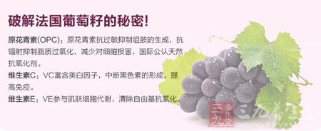 破解法国葡萄籽的秘密