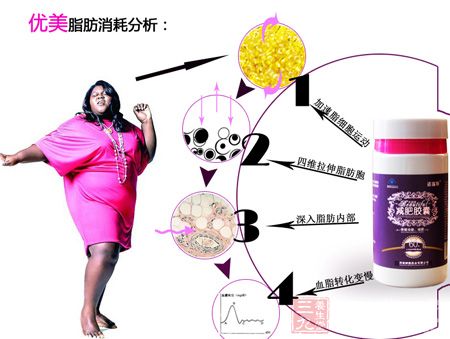 优美脂肪消耗分析图 优美脂肪消耗分析图