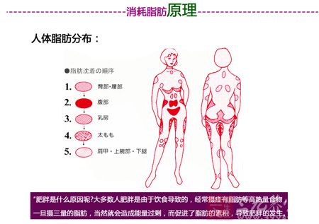 肥胖是什么原因呢?大多数人肥胖是由于饮食导致的 肥胖是什么原因呢?大多数人肥胖是由于饮食导致的