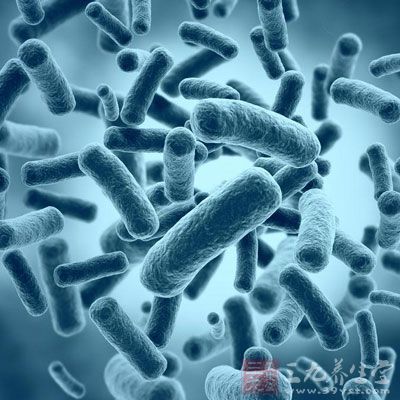 梅毒初期症状 梅毒有什么表现