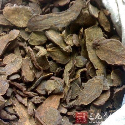 何首烏水煎濃縮液長(zhǎng)期給小鼠灌胃，可使小鼠腎上腺重量明顯增加