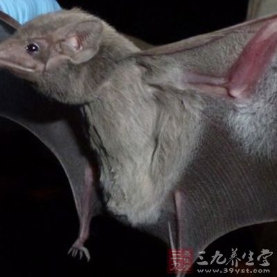 首先是与SARS相比,MERS的传染来源和传播途径尚不清楚 首先是与SARS相比,MERS的传染来源和传播途径尚不清楚