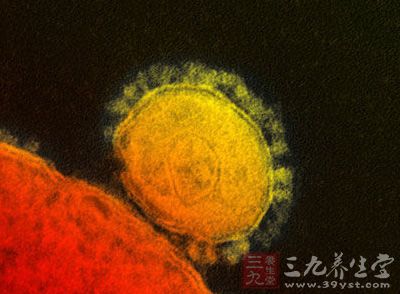 这两种疾病的病原同属正义单链RNA病毒 这两种疾病的病原同属正义单链RNA病毒