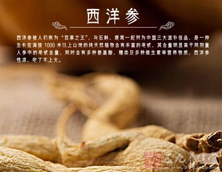 西洋参被人们称为百草之王 西洋参被人们称为百草之王
