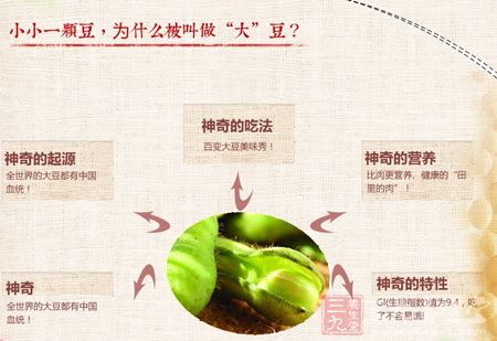 小小一颗豆,为什么被叫做“大”豆 小小一颗豆,为什么被叫做“大”豆