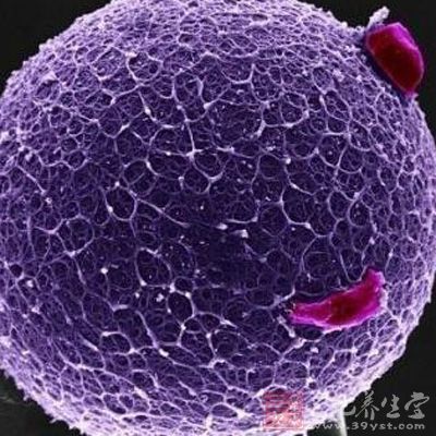 <em>月经周期</em>控制女人体内的激素水平和可被受精