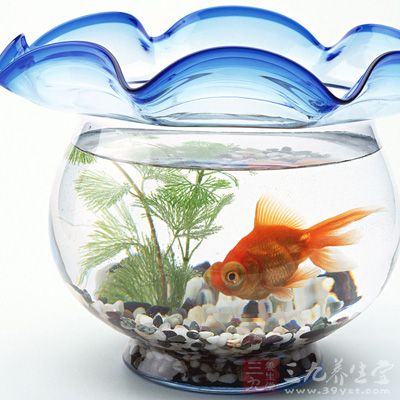 卧室里面有这些东西想不生病都难