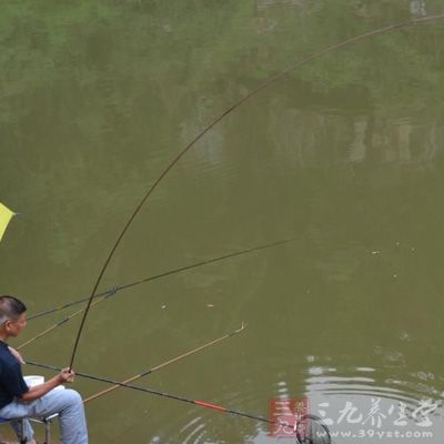 涨水落水会引起鱼群的突然迁徙，鲫鱼相对活动范围不大通常仅是在局部地区的深潜区域徘徊