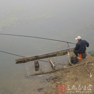 鲤鱼爱拱泥寻食，从而产生大小均匀而密集的气泡，称为鱼星，鲤 鱼的鱼星比较明显，一般为成群碎泡