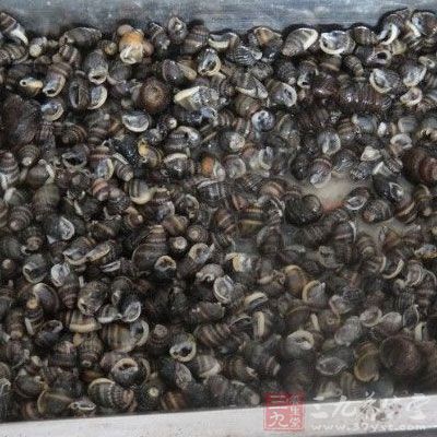 莆田市秀屿区强化织纹螺食物中毒防范