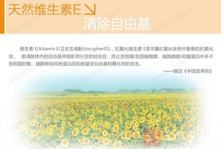 天然维生素E清除自由基 天然维生素E清除自由基