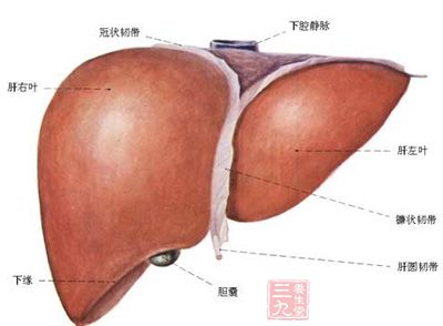 肝炎有什么症状 治疗肝炎的食疗方