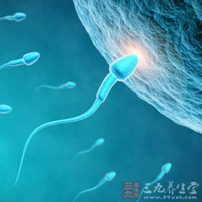 理論上佳的受孕時機是排卵后的12小時內(nèi)