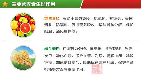 主要营养素生理作用