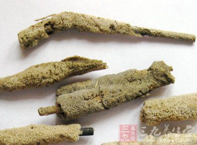 紫梢花的药用价值与应用