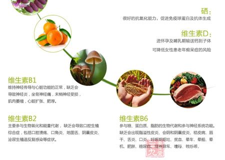 鑫福来牌钙锌多种维生素片(2)