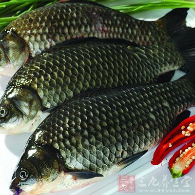 適當(dāng)進(jìn)食魚、雞蛋及少量動(dòng)物瘦肉