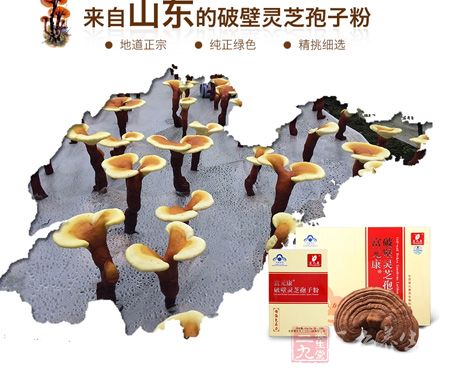 来自山东的破壁灵芝孢子粉 来自山东的破壁灵芝孢子粉