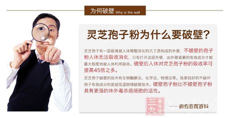 灵芝孢子粉为什么要破壁 灵芝孢子粉为什么要破壁