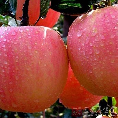 苹果还富含粗纤维，能吸收大量的水份，减慢人体对糖的吸收，同时它还能刺激肠道蠕动，促进排便