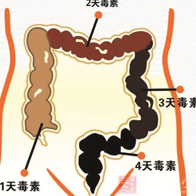 肠道毒素如何形成的