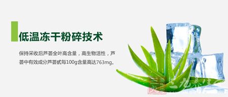 低温冻干粉碎技术 低温冻干粉碎技术