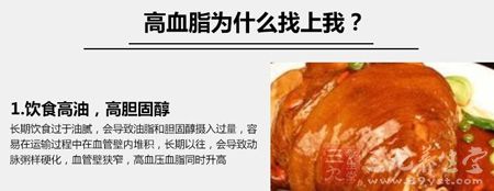 高血脂为什么找上我 高血脂为什么找上我