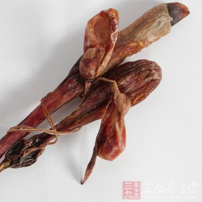 狗肾1对,切碎,焙熟后碾成细末,每晚3克,黄酒送服,每日2次