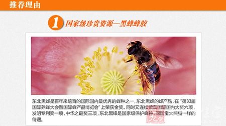 国家级珍贵资源—黒蜂蜂胶