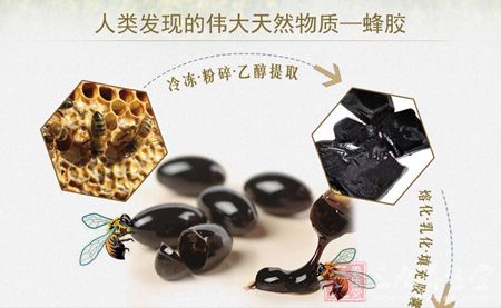 人类发现的伟大天然物质——蜂胶