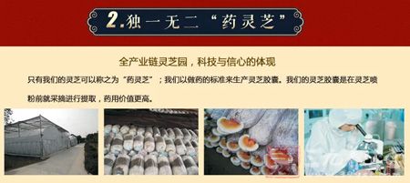 全产业链灵芝园,科技与信心的体现 全产业链灵芝园,科技与信心的体现