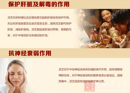 保护肝脏及解毒作用 保护肝脏及解毒作用