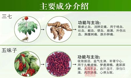 金日牌心源素胶囊主要成分