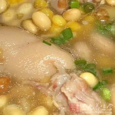 黄豆雪梨猪脚汤 黄豆雪梨猪脚汤