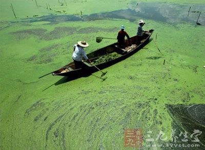 农村生态环境与健康问题不容忽视 - 三九养生堂