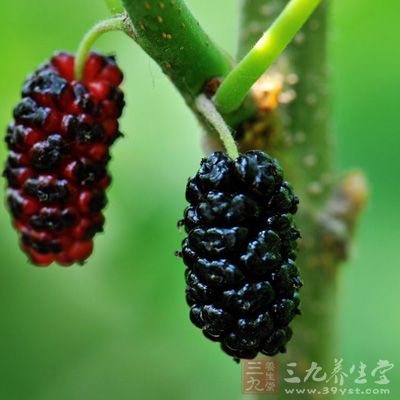 新生儿湿疹 中医治疗新生儿湿疹 - 南张乡卫生院 - 南张乡中心卫生院 新生儿湿疹 中医治疗新生儿湿疹 - 南张乡卫生院 - 南张乡中心卫生院