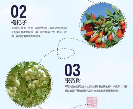 临床上常将枸杞子与菊花等配合同服,用于治疗眼睛干涩 临床上常将枸杞子与菊花等配合同服,用于治疗眼睛干涩