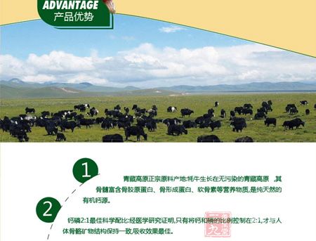 金日牌牦牛骨髓蛋白粉优势 金日牌牦牛骨髓蛋白粉优势